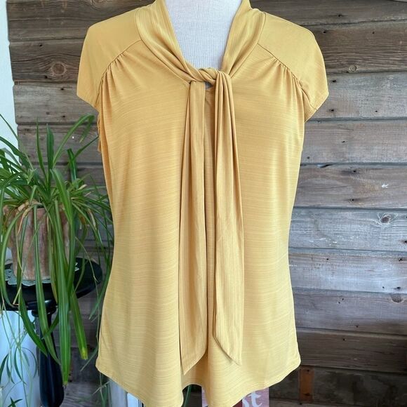 Susan Lawrence Sleeveless Blouse Top Size M EUC - Picture 1 of 6